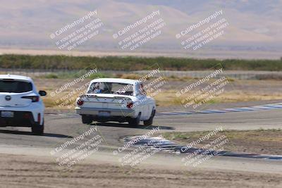 media/Oct-04-2025-OnGrid (Sat) [[44bd565ffa]]/Yellow Group/Grapevine/